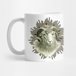 Cute little sheep with the twisted horn is looking at us Mug